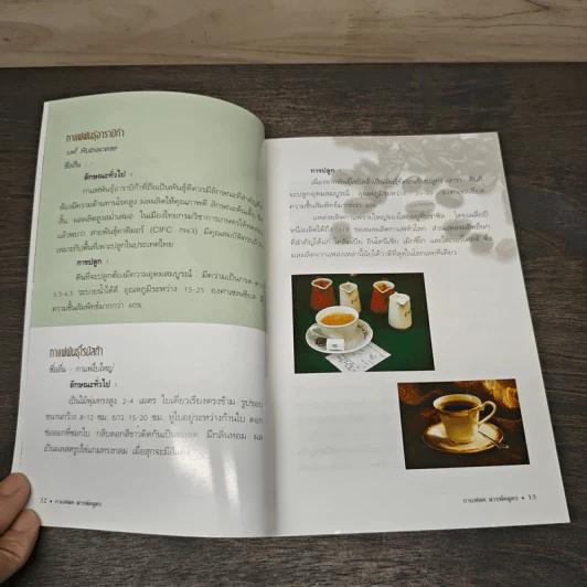 กาแฟสด สารพัดสูตร รูปที่ 8