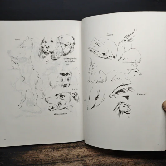 การวาดภาพนกและสัตว์ รูปที่ 9