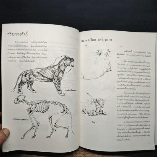 การวาดภาพนกและสัตว์ รูปที่ 8