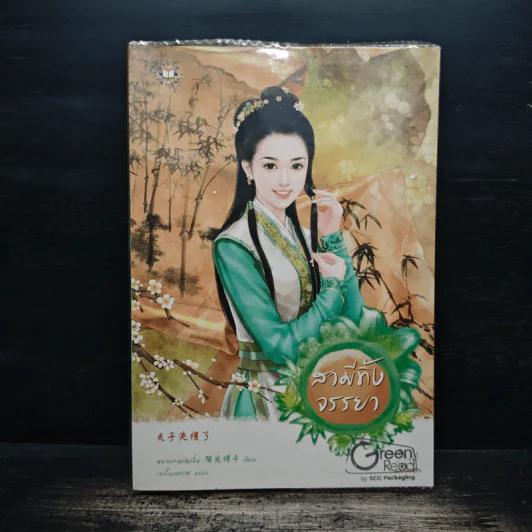 สามีทิ้งจรรยา - หยางกวงฉิงจื่อ รูปที่ 1