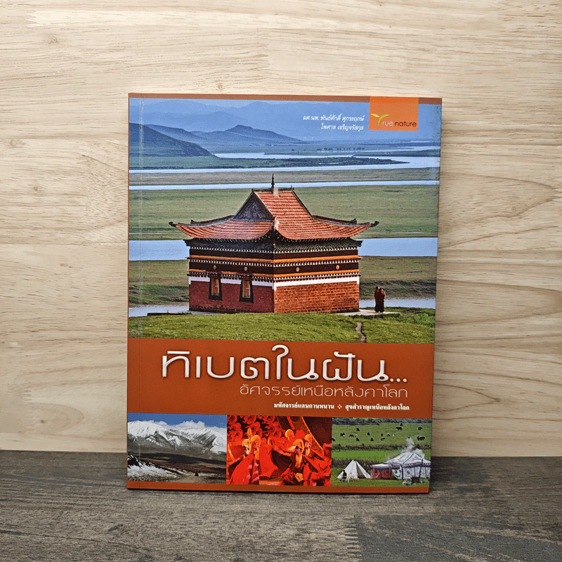 ทิเบตในฝัน อัศจรรย์เหนือหลังคาโลก รูปที่ 1