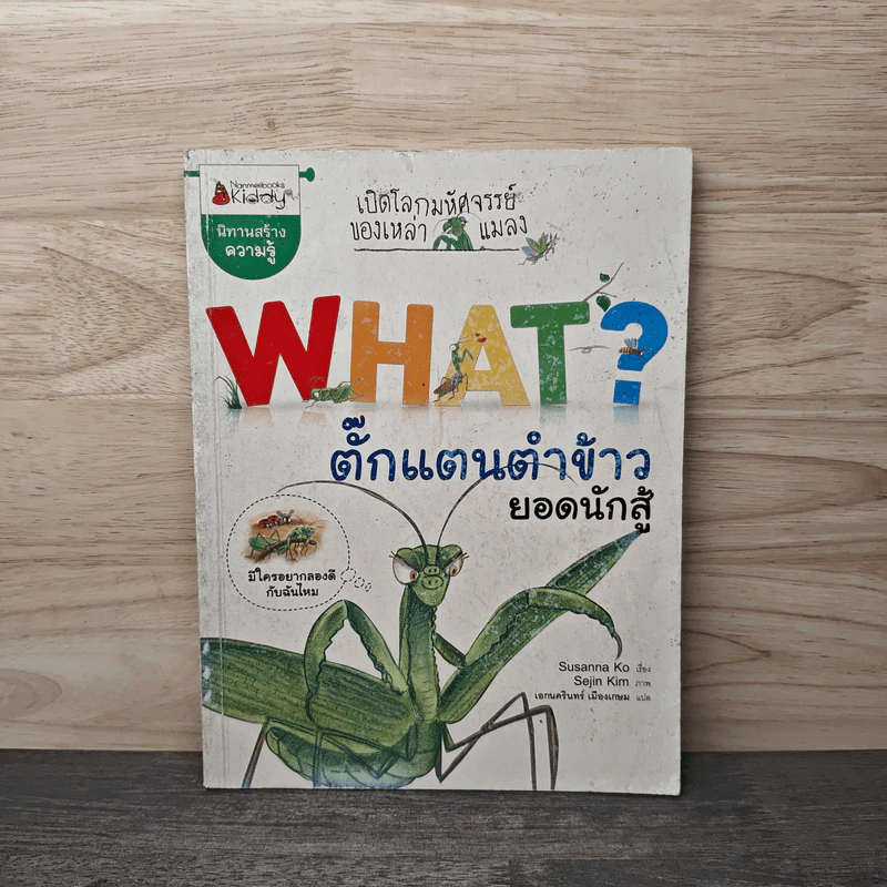 What? ตั๊กแตนตำข้าว ยอดนักสู้ รูปที่ 1