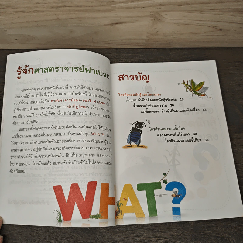 What? ตั๊กแตนตำข้าว ยอดนักสู้ รูปที่ 7