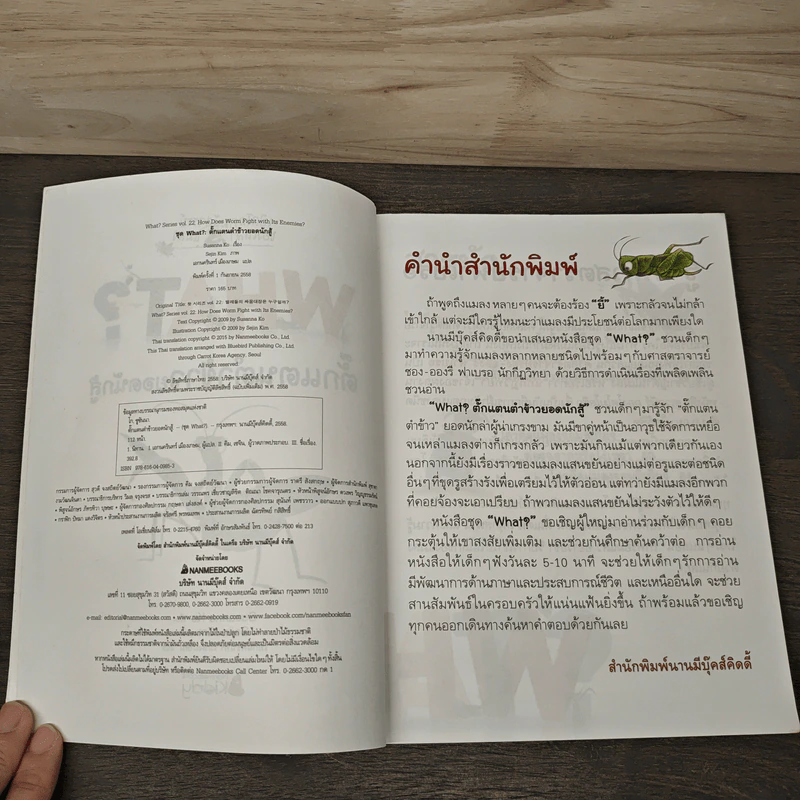 What? ตั๊กแตนตำข้าว ยอดนักสู้ รูปที่ 6