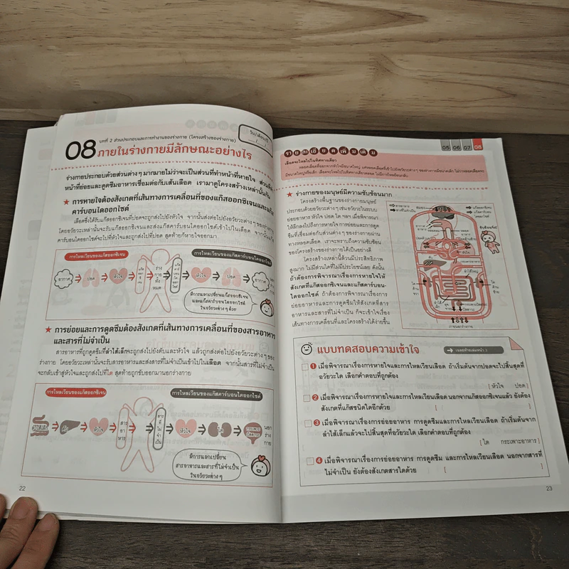 One by one แบบฝึกวิทยาศาสตร์ ป.6 - Gokken รูปที่ 7