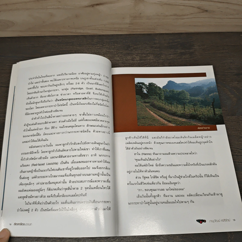 ส่องกล้องมองนก - ภานุวัฒน์ ศะสิรัตน์ รูปที่ 8