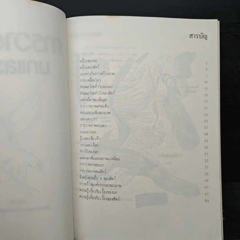 การวาดภาพนกและสัตว์ รูปที่ 6