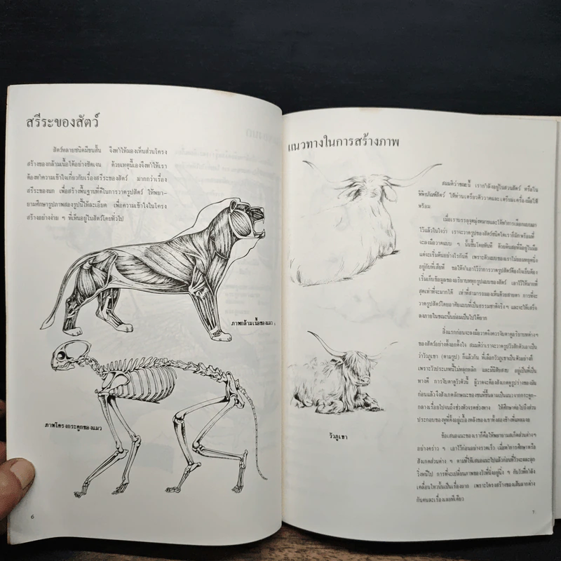 การวาดภาพนกและสัตว์ รูปที่ 8