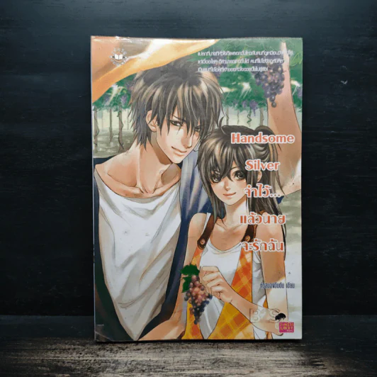 Handsome Silver จำไว้...แล้วนายจะรักฉัน - หัวสมองตีบตัน รูปที่ 1
