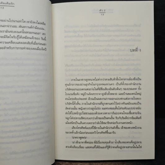 ให้หัวใจเติมเต็มรัก - ตัว Z รูปที่ 8