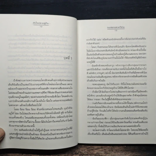 หัวใจปลายพู่กัน - bookmark & วีสาม รูปที่ 8