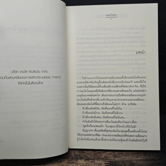 อลเวงรัก... ครอบครัวกำมะลอ - เพชรไพลิน รูปที่ 7