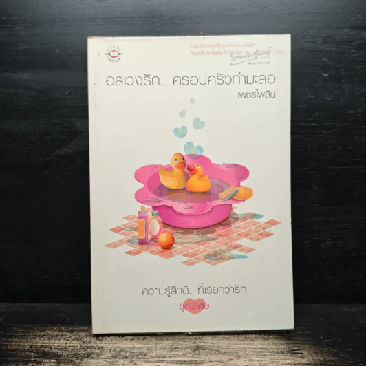 อลเวงรัก... ครอบครัวกำมะลอ - เพชรไพลิน รูปที่ 1