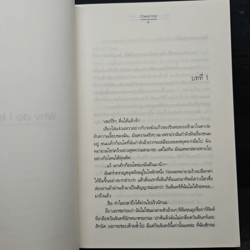 Why do I love you so?! - Clear Ice รูปที่ 7