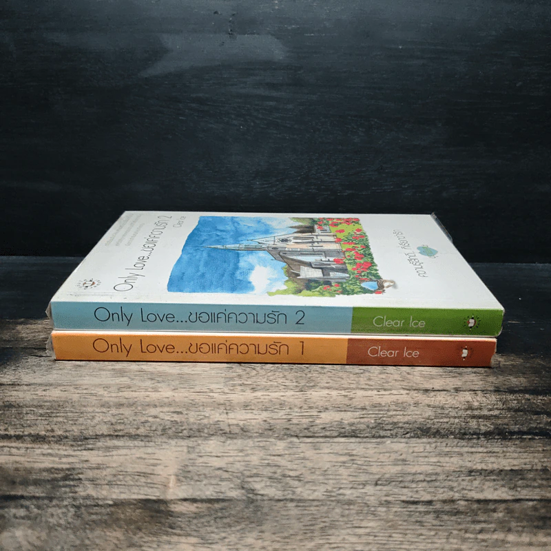 Only Love ขอแค่ความรัก 2 เล่มจบ - Clear Ice รูปที่ 3