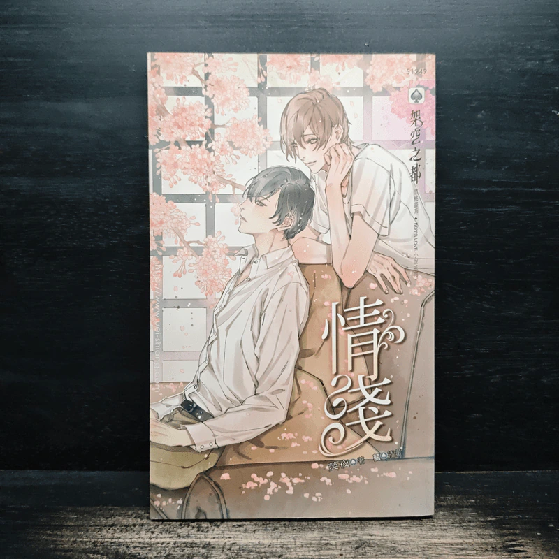 情淺 - 熒夜 อิ๋งเย่ รูปที่ 1