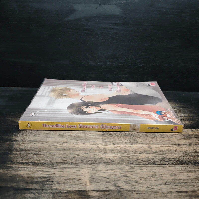 Threadlike Love ฉันพบนายที่ปลายทาง - belza09 รูปที่ 3