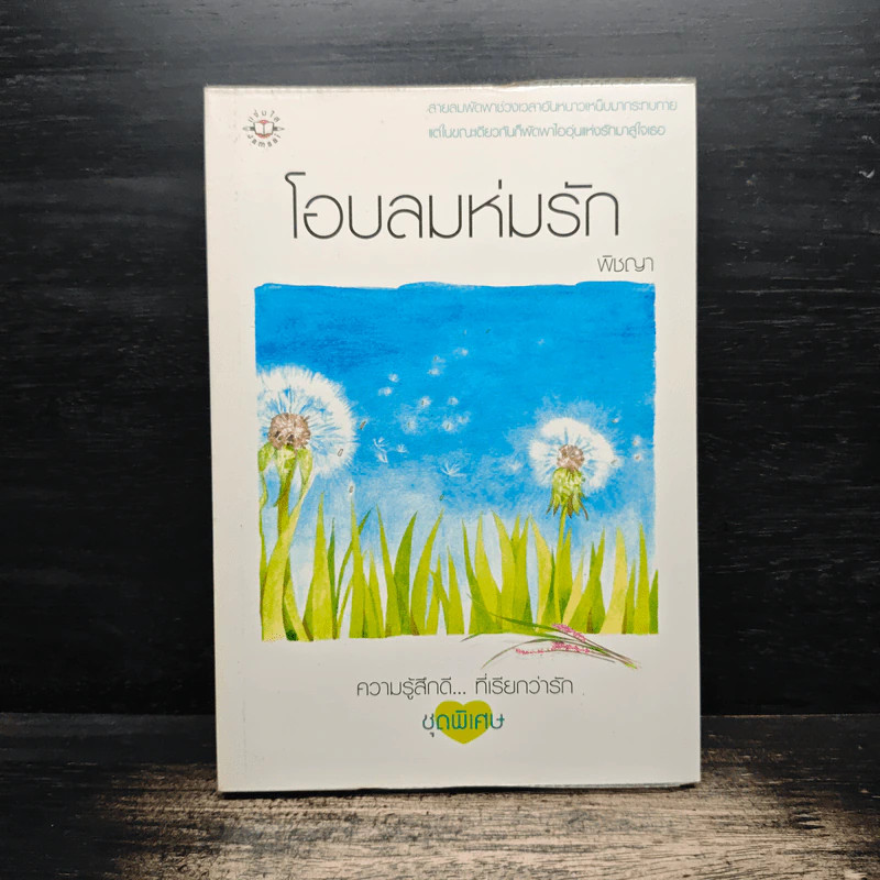 โอบลมห่มรัก - พิชญา รูปที่ 1