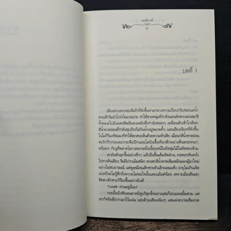 สุดผืนทรายปลายฝั่งฟ้า - อะมีราห์ รูปที่ 7