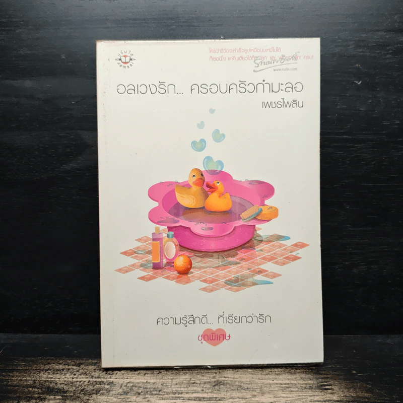 อลเวงรัก... ครอบครัวกำมะลอ - เพชรไพลิน รูปที่ 1