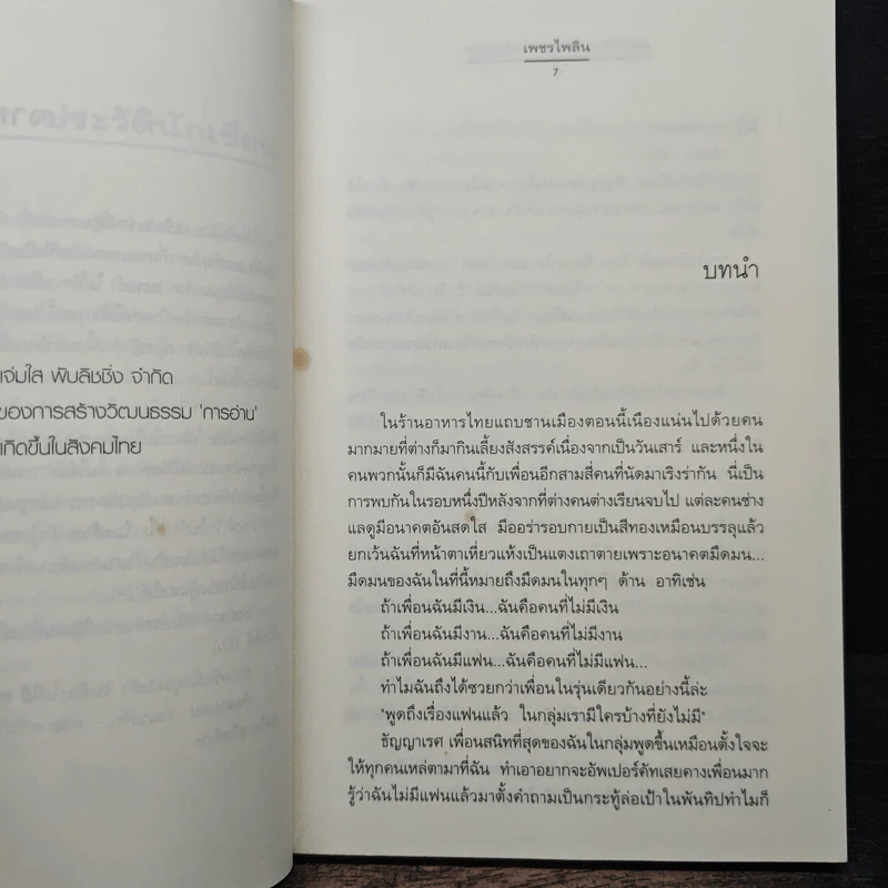 อลเวงรัก... ครอบครัวกำมะลอ - เพชรไพลิน รูปที่ 7