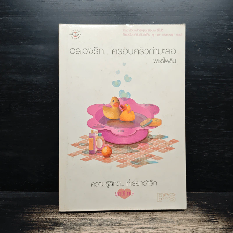 อลเวงรัก... ครอบครัวกำมะลอ - เพชรไพลิน รูปที่ 1