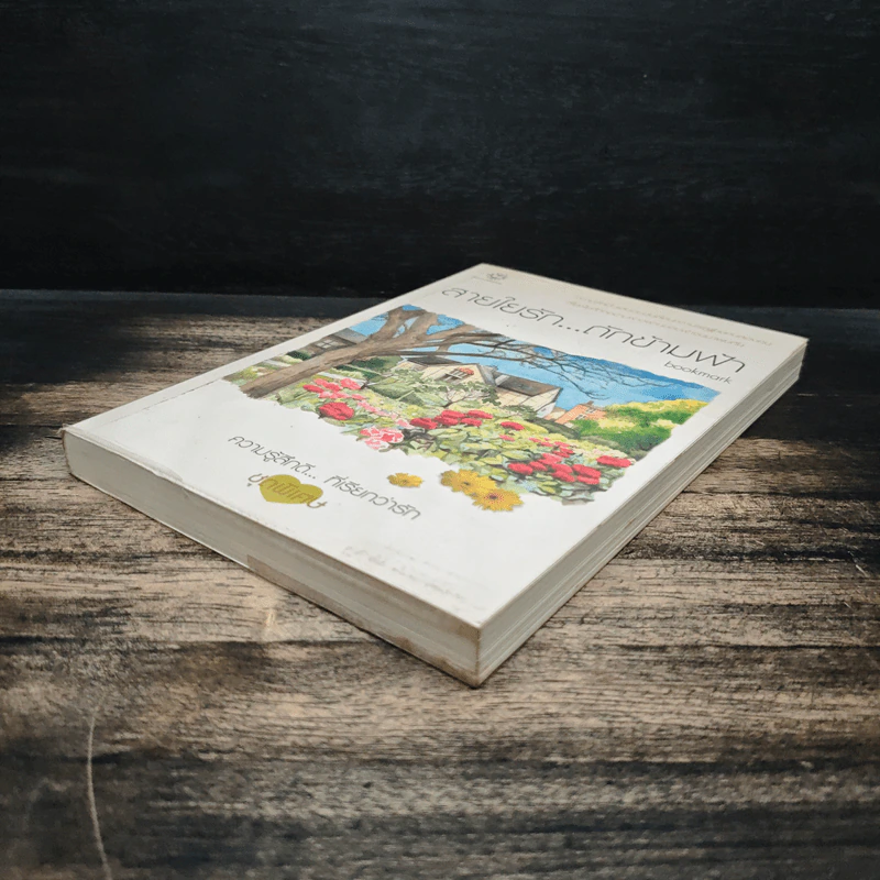 สายใยรัก...ถักข้ามฟ้า - Bookmark รูปที่ 4