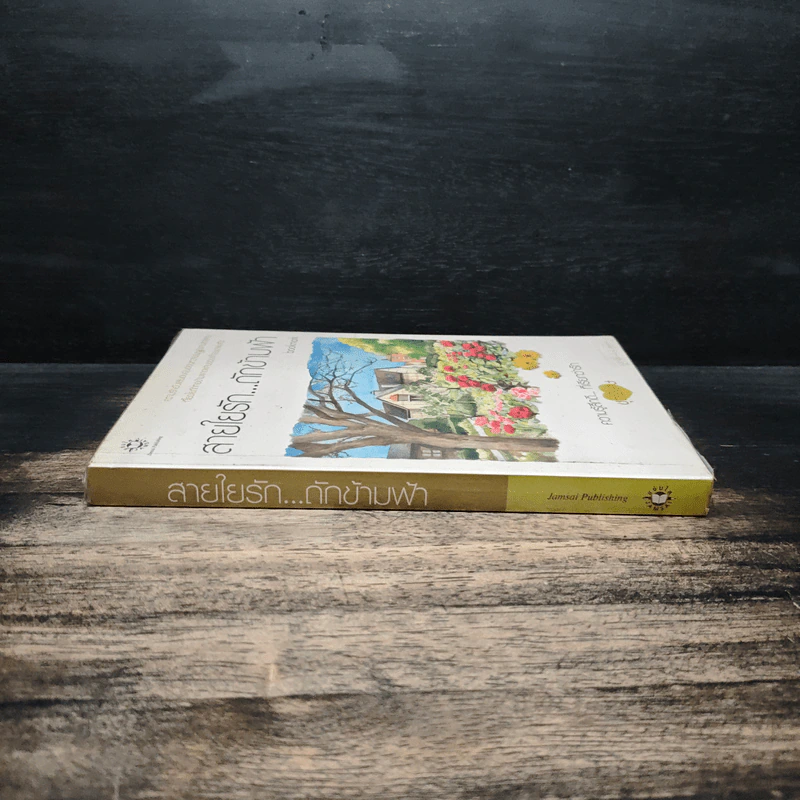 สายใยรัก...ถักข้ามฟ้า - Bookmark รูปที่ 3
