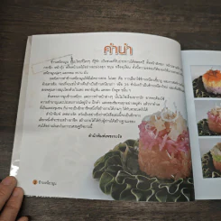 ข้าวเหนียวมูน เพิ่มมูลค่าขนมไทย - อัญชลี สิริศักดิ์ รูปที่ 6
