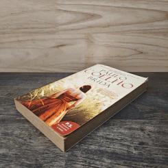 Brida - Paulo Coelho รูปที่ 3