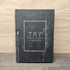 Try - วงศ์ทนง ชัยณรงค์สิงห์