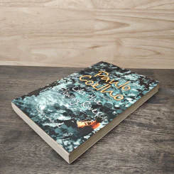 Like the Flowing River - Paulo Coelho รูปที่ 3