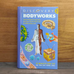 Discovery Bodyworks รูปที่ 1
