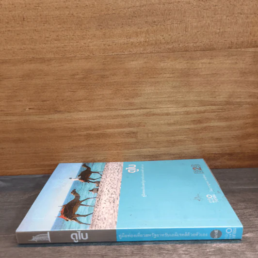 ดูไบ คู่มือท่องเที่ยวสหรัฐอาหรับเอมิเรตส์ด้วยตัวเอง - กาญจนา หงษ์ทอง รูปที่ 2