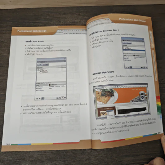 Professional Web Design รูปที่ 8