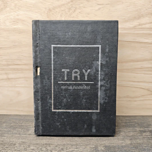 Try - วงศ์ทนง ชัยณรงค์สิงห์ รูปที่ 1