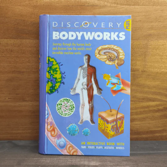 Discovery Bodyworks รูปที่ 1