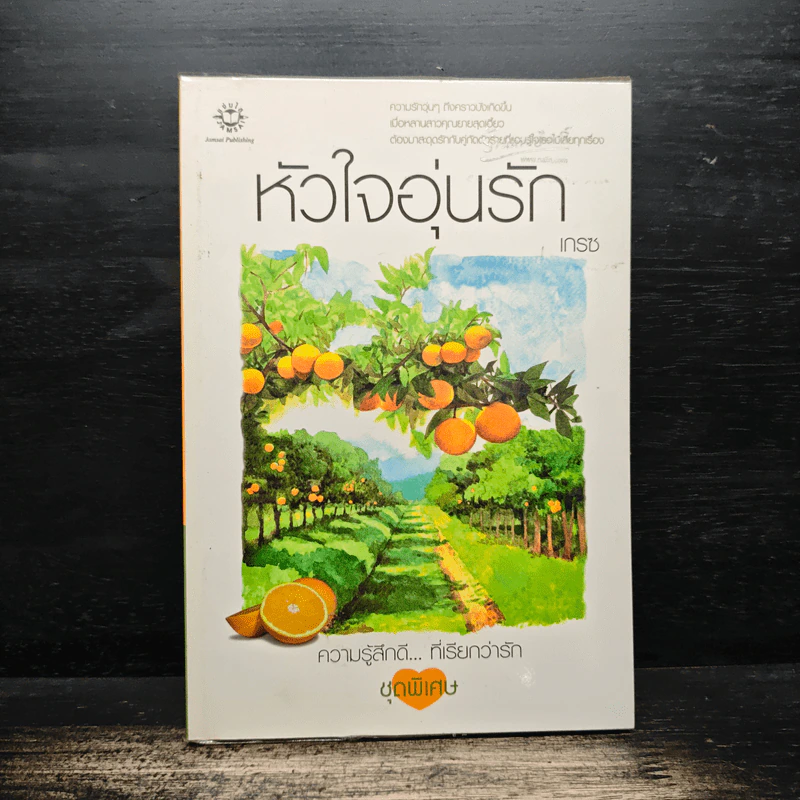 หัวใจอุ่นรัก - เกรซ รูปที่ 1