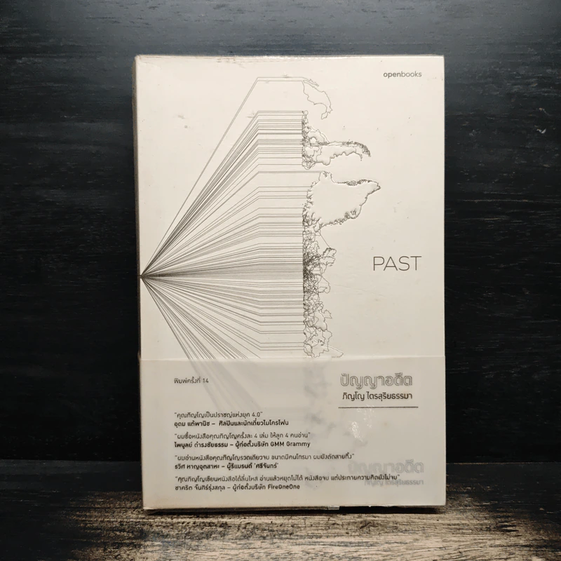 Past : ปัญญาอดีต - ภิญโญ ไตรสุริยธรรมา รูปที่ 1