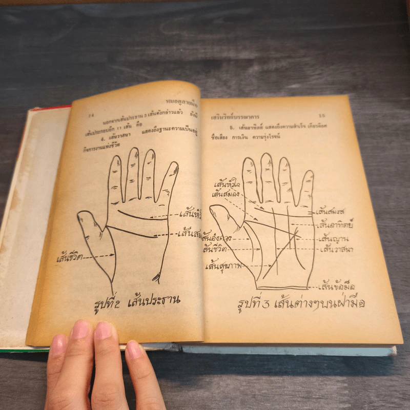 ตำราหมอดูลายมือ - ญาณเทพย์ รูปที่ 8