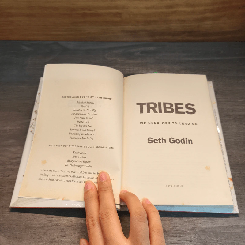 Tribes: We Need You to Lead Us - Seth Godin รูปที่ 6