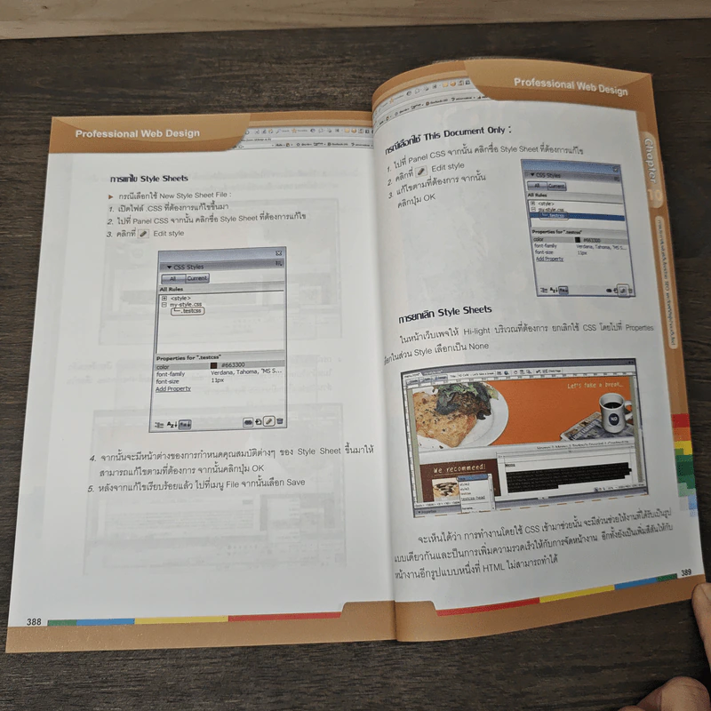 Professional Web Design รูปที่ 8