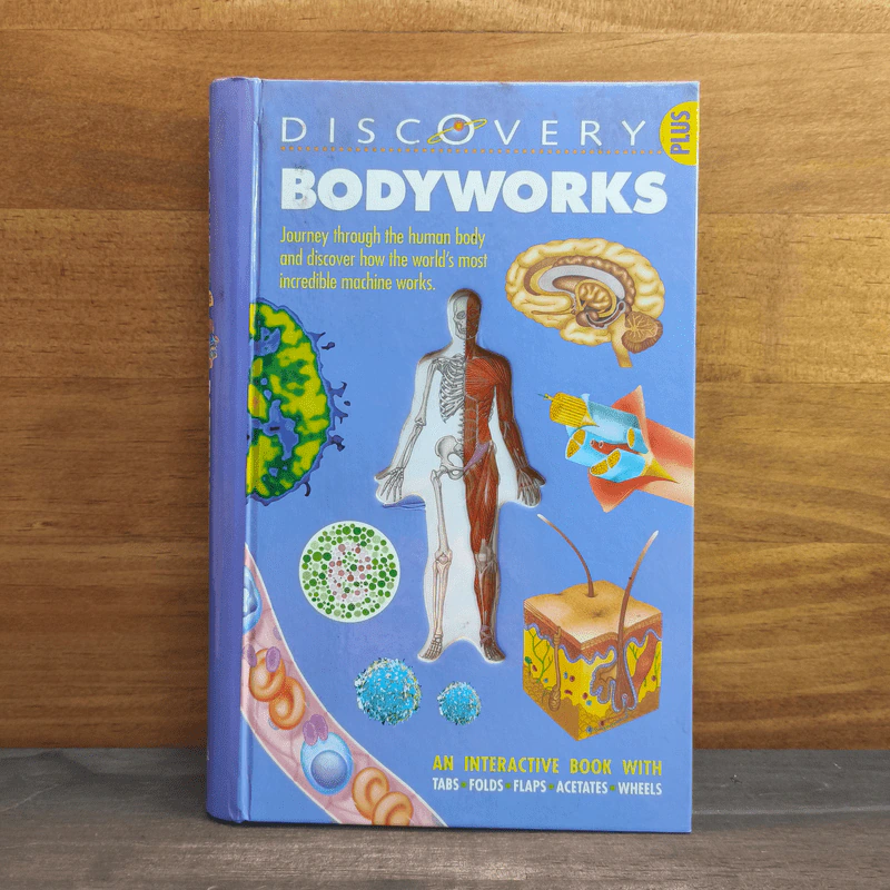 Discovery Bodyworks รูปที่ 1