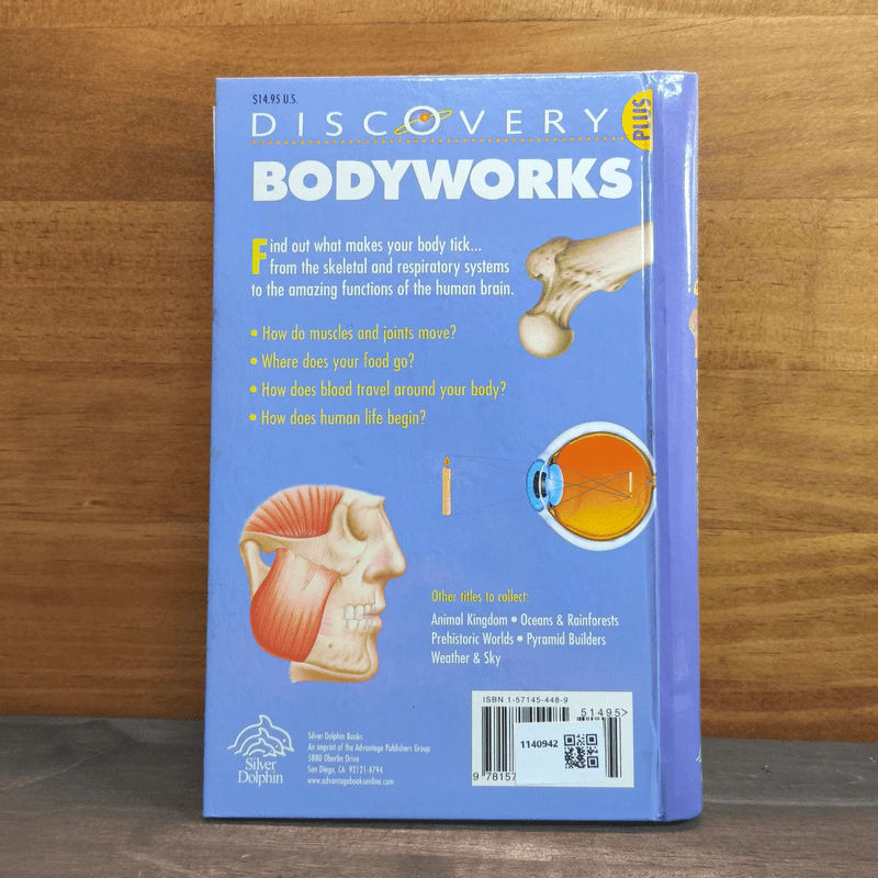 Discovery Bodyworks รูปที่ 5