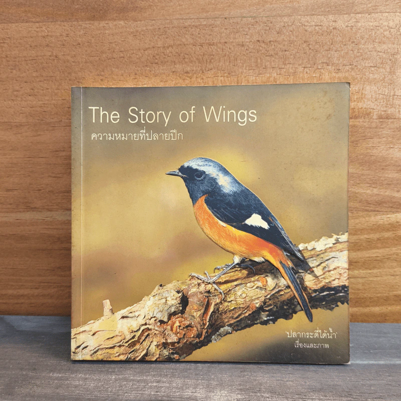 The Story of Wings ความหมายที่ปลายปีก รูปที่ 1
