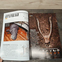 National Geographic ฉบัที่ 127 กุมภาพันธ์ 2555 สึนามิ คลื่นกลืนแผ่นดิน รูปที่ 9