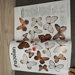 National Geographic ฉบับที่ 174 ม.ค.2559 รูปที่ 9