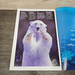 National Geographic ฉบับที่ 214 พ.ค.2562 เลโอนาร์โด รูปที่ 10