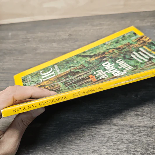 National Geographic ฉบับที่ 99 ต.ค. 2552 เรดวูด รูปที่ 10