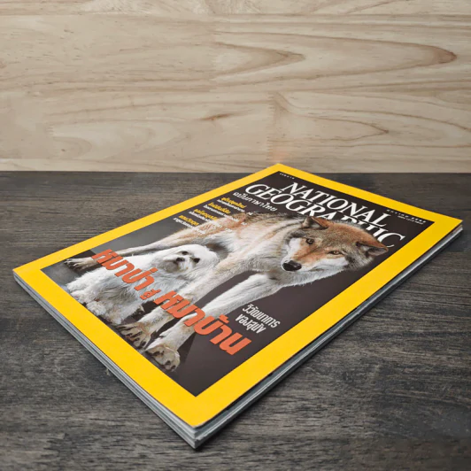 National Geographic ม.ค.2545 หมาป่าสู่หมาบ้าน รูปที่ 3